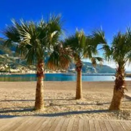 Le Palmero Centre Ville, Plage, Clime Mentone Esterno foto